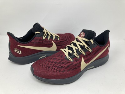 fsu pegasus 36
