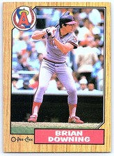 Click to enlarge Brian Downing