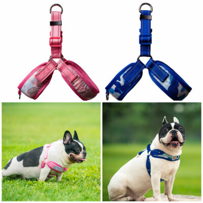 harness belt for dog