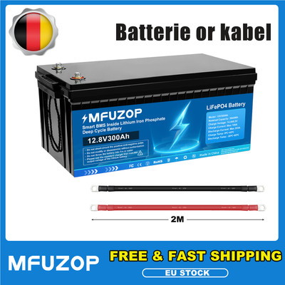 12V 300Ah Lithium Batterie LiFePO4 Akku Solaranlage BMS / Batteriekabel
