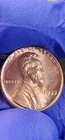 1955 Doubled Die Obverse Wheat Cent with a prominent die crack, Musthave Perfect