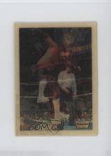 1990 Hasbro Flip Figure Cards Brutus The Barber Beefcake 13wb