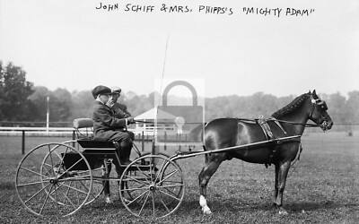 John Schiff & Mighty Adam Harness Horse Racing Matinecock NY Reprint Postcard
