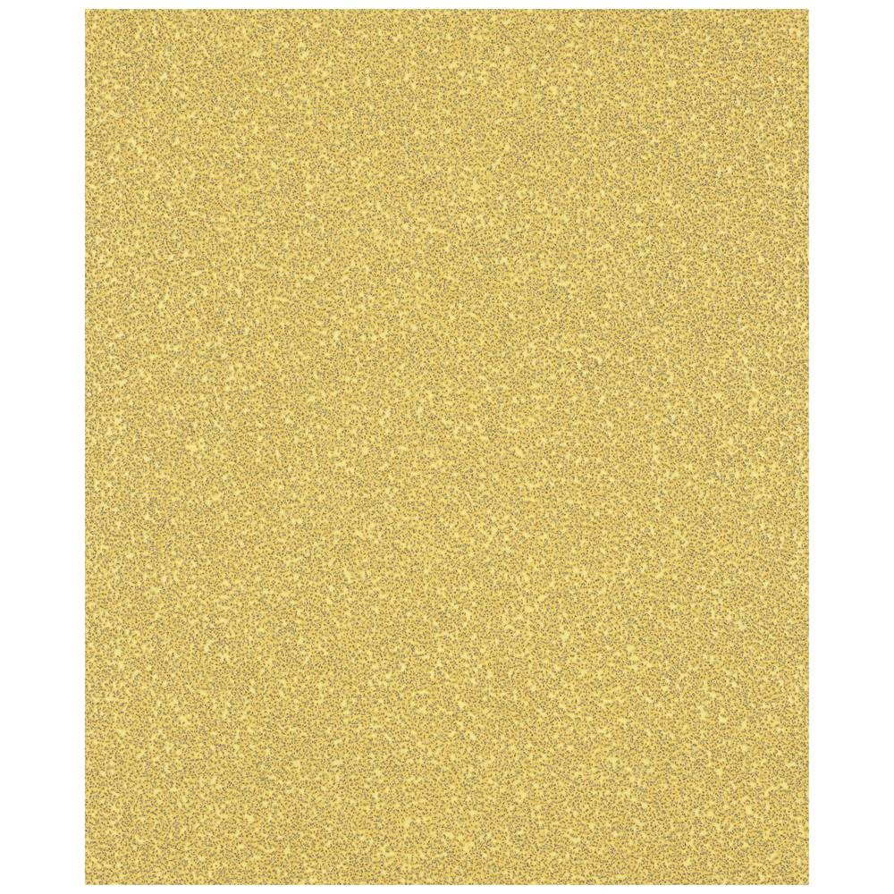 Feuille abrasive Bosch EXPERT C470 papier de verre ponçage bois