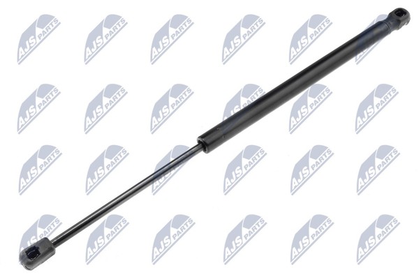 Heckklappen DäMpfer Gasfeder Kofferraum NTY AE-RE-024 FüR Renault Megane 3 BZ0-image