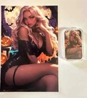 Sexy! Bitchy Witch 1 Oz .999 Silver Color Art Bar With COA Limited Mintage