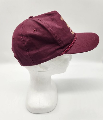 Sombrero de museo Mifflinburg Buggy ajustable Snapback Trucker Amish Country PA USADO EN EXCELENTE ESTADO - Imagen 7 de 10