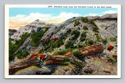 Postcard SD Bad Lands South Dakota Petrified Logs Forest Scenic Landscape linen