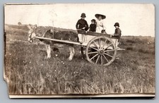 Postcard RPPC, Family & Dog Riding Donkey Cart, Posted 1914
