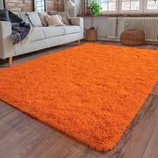Super Fluffy Area Rugs for Bedroom, 4x6 Ft, Modern Orange Rug, Soft Plush Car...