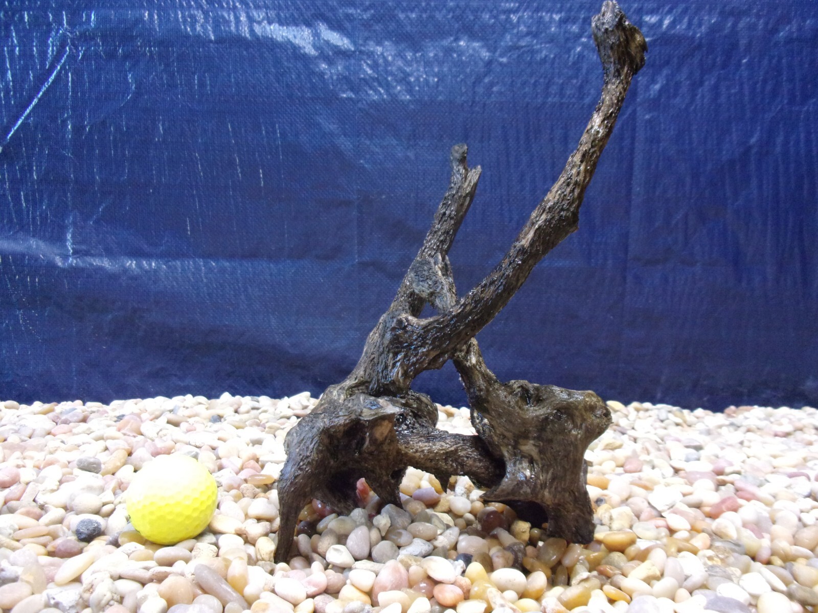 Picture 4 of 6