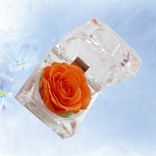 Preserved Flower Eternity Never Withered Gift for Valentine's Day - Foto 6 di 10
