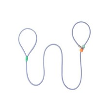 Dog Slip Lead Dog Leash 5 FT Training LeashNo-Pull Slip Leash and Collar 0.29...