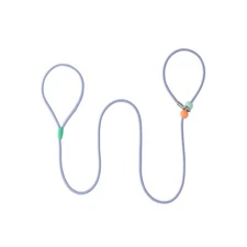 Dog Slip Lead Dog Leash 5 FT Training LeashNo-Pull Slip Leash and Collar 0.29...