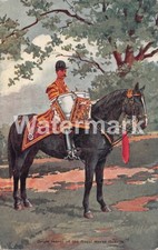 0953. British Army. Drum Horse of the Royal Horse Guards. Posted 1906