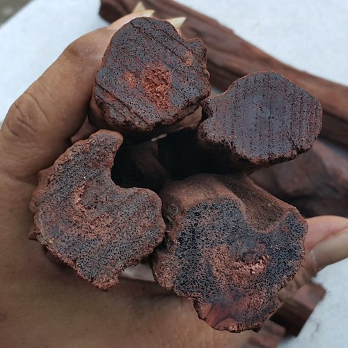 750 gramos Akar Laka Indonesia Dalbergia Parviflora Kayu Menang - Imagen 2 de 7