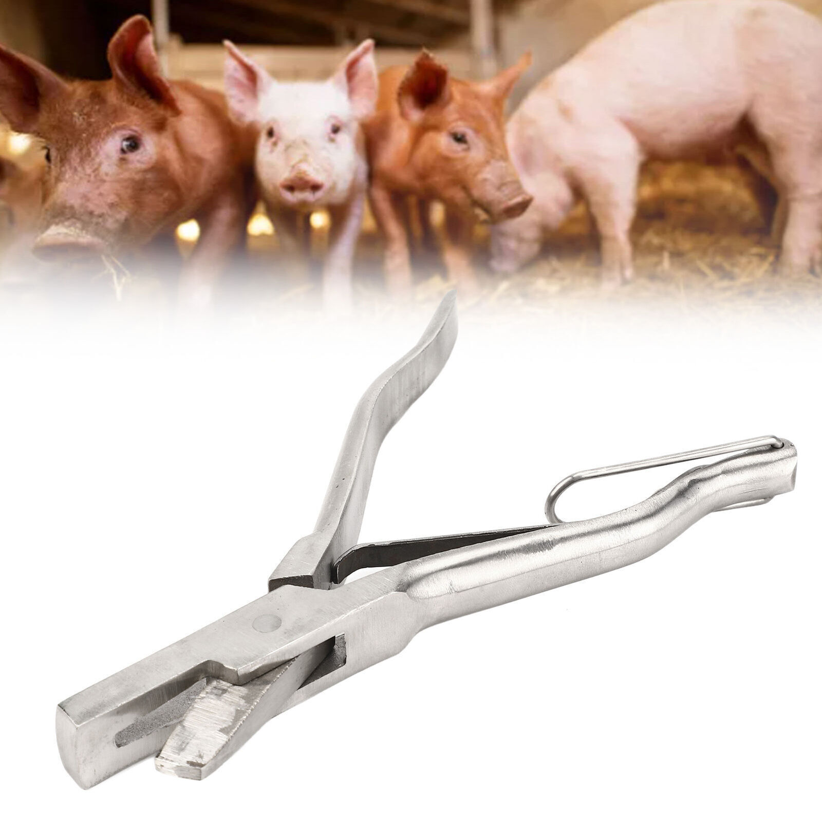 Pig Ear Tag Plier Stainless Steel Animal Ear Notcher with Safe Buckle