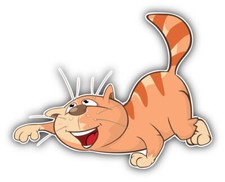 Funny Cat Cartoon Animal Car Bumper Sticker Decal - ''SIZES''