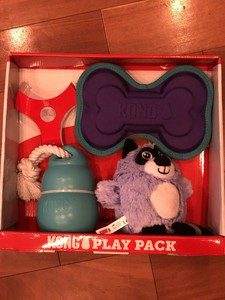 kong play pack