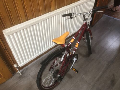 Raleigh Pop 20 inch Wheel Kids Bike 2022 in Plum - Picture 5 of 7
