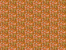 1/2 Yard Fabric - Jumpstart Silene - Tangerine by Anna Maria Textiles