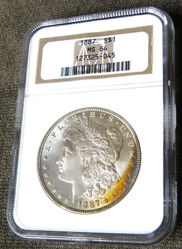 1887 MORGAN SILVER DOLLAR ~ NGC MS64 ~ NATURAL EDGE TONE FRONT