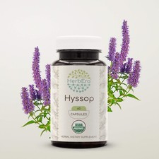 HerbEra Hyssop 60/120 Capsules, 500 mg, Organic Hyssopus officinalis 