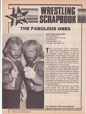 Steve Keirn Stan Lane 8x10 Pro Wrestling Magazine Page Photo WWF NWA Wrestle