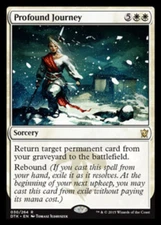 Heavy Play, English MTG Regular Profound Journey Dragons of Tarkir Magic the Gat