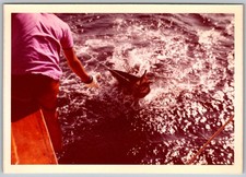 Mulinello vintage colore snapshot uomo su barca in grande Marlin pesca sportiva anni 70