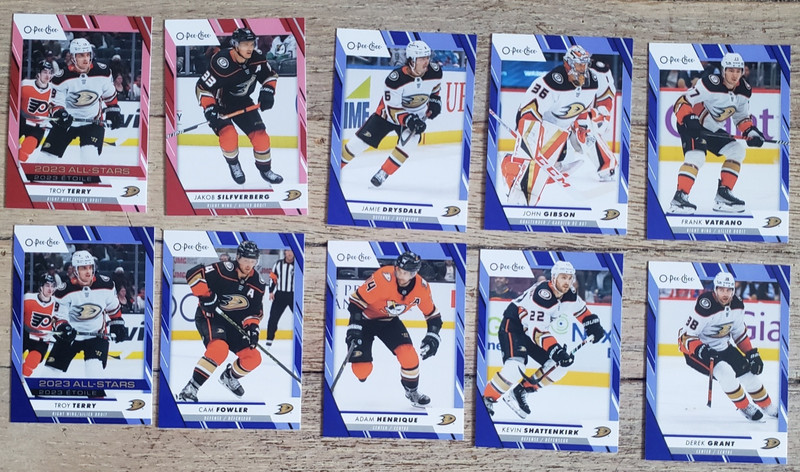 2023-24 OPC Hockey Anaheim Ducks Blue/Red Border Parallel 10 card Lot-Terry red