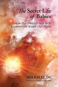 The Secret Life of Babies: How Our Prebirth and Bir... | Buch | Zustand sehr gut