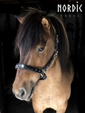 Lederhalfter Islandpferde mit Prägung und Steinen Nordic Horse schwarz Gr. COB