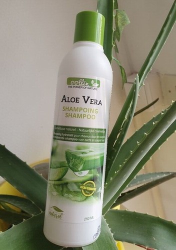 Shampoing Bio à L'aloe Vera Pour Locks, Dreadlocks Et Tresses - 250 Ml, Naturel, Fabriqué En Espagne