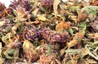 Red Clover - Dried Herbs Rabbit Treats Degu Reptile Tortoise Food Top QUALITY