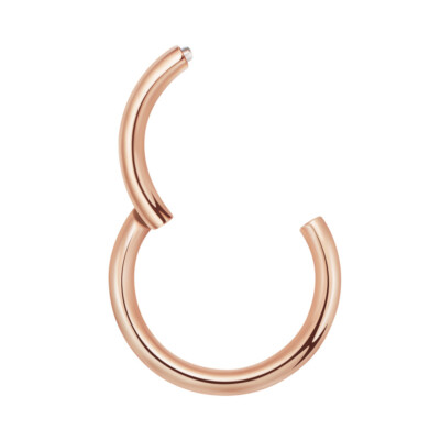 1,2mm TITAN Rose Gold Schwarz Piercing Clicker Segment Ring Ohr Nasen Lippen