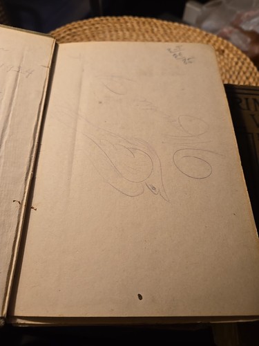 Antique Book Lot Of 5 From Well Known American Western Author B.M. Bower 1st Edi - Picture 13 of 18