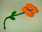 Picture 12 of 12