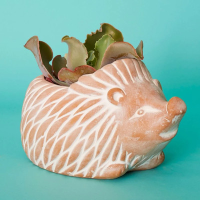 Large Terracotta Hedgehog Pot