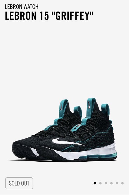 lebron griffey shoe