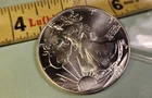1991 American Eagle Walking Liberty 1 Ounce Fine Silver One Dollar Coin