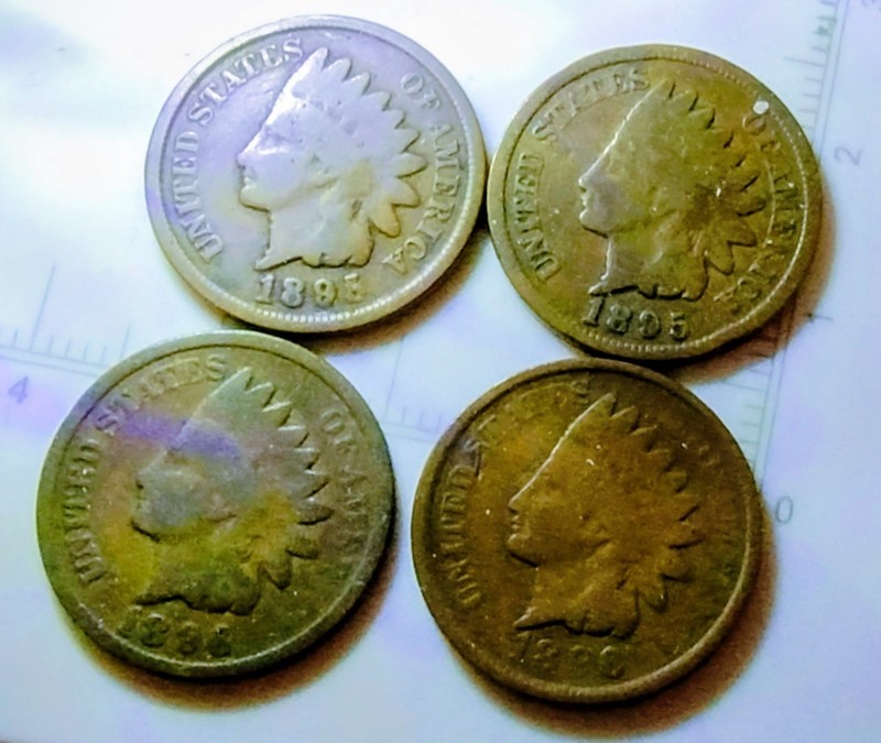 2 1895--2 1896 OLD INDIAN HEAD PENNIES CIRCULATED. {PI56}