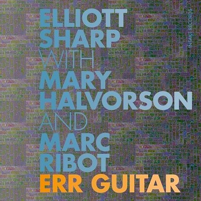 Elliott Sharp - Err Guitar - CD - H4z