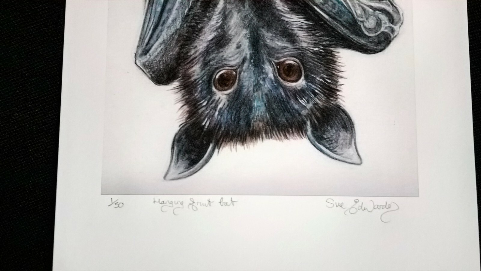 Picture 5 of 5