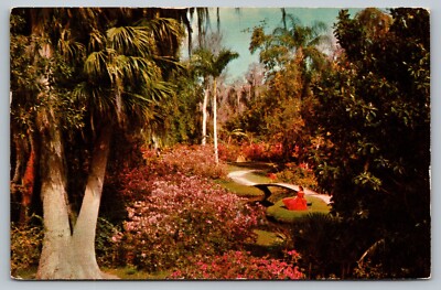 Postcard Lovely Flowered Walks Cypress Gardens Tropical Trees c1957 Florida FL
