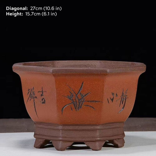Maceta Bonsai China Clásica 10" Grande Octágono Hexagonal Púrpura Arena Marrón Maceta - Imagen 11 de 20