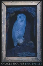 Oracle Figures by Eric Pankey (2003, Trade Paperback)