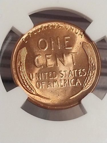 1956 D NGC LINCOLN WHEAT CENT MINT STATE 65 RED - Picture 2 of 2