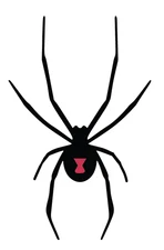 Black Widow Vinyl Decal Car Truck SUV Cell Phone Laptop Spider Sticker