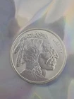 1 Troy oz Indian Buffalo .999 Fine Silver Round Elemental From Tube BU